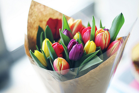tulipany_s